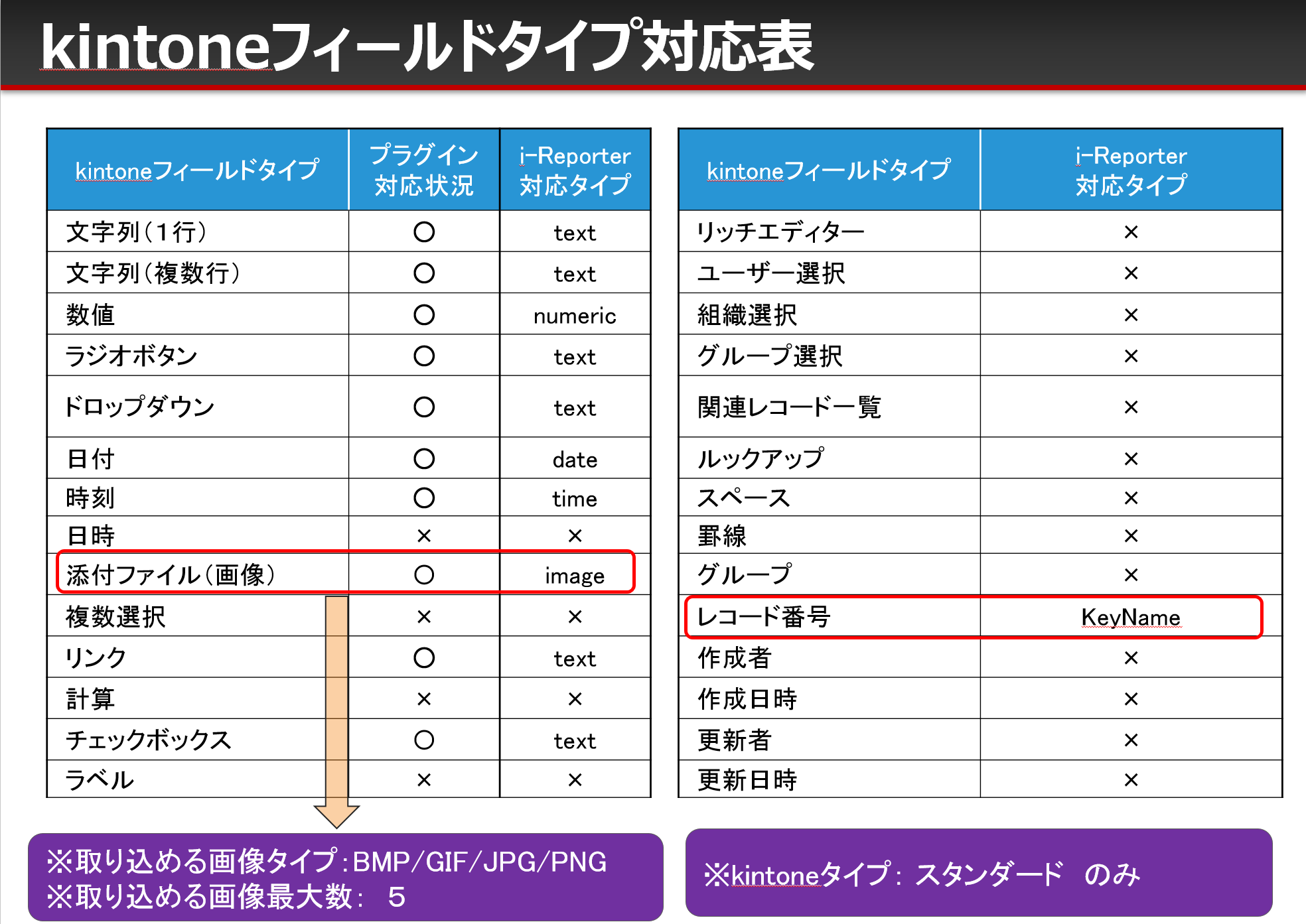 I Reporter カスタムマスター連携プラグイン Ver1 1 Kintone キントーン 拡張機能 サイボウズの業務改善プラットフォーム