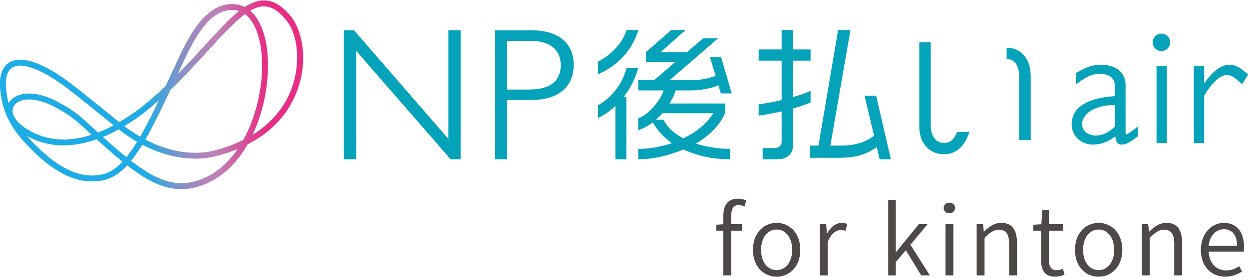 netprotections_logo.png